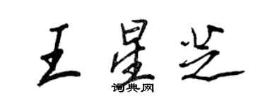 王正良王星芝行书个性签名怎么写