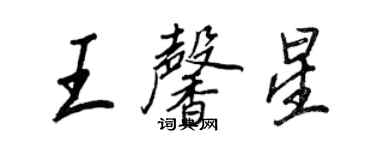 王正良王馨星行书个性签名怎么写
