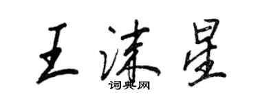 王正良王沫星行书个性签名怎么写