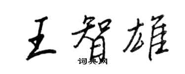 王正良王智雄行书个性签名怎么写