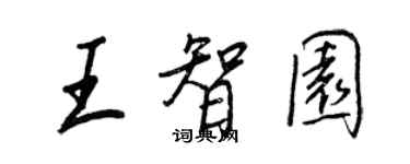 王正良王智园行书个性签名怎么写