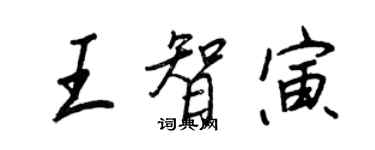 王正良王智寅行书个性签名怎么写