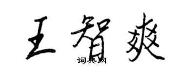 王正良王智爽行书个性签名怎么写