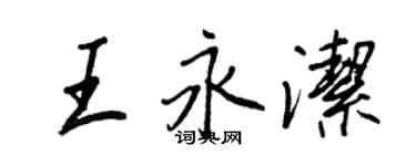 王正良王永洁行书个性签名怎么写