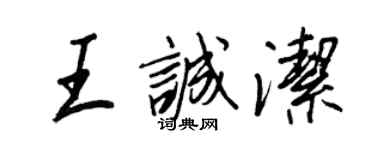 王正良王诚洁行书个性签名怎么写