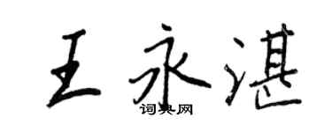 王正良王永湛行书个性签名怎么写