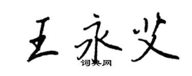 王正良王永艾行书个性签名怎么写