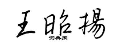 王正良王昭扬行书个性签名怎么写