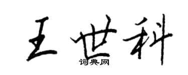 王正良王世科行书个性签名怎么写