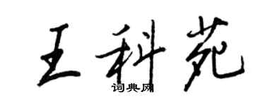王正良王科苑行书个性签名怎么写