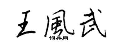 王正良王风武行书个性签名怎么写
