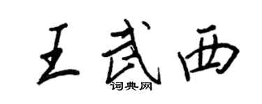 王正良王武西行书个性签名怎么写