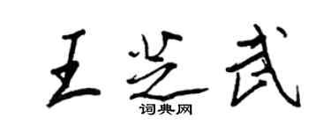 王正良王芝武行书个性签名怎么写
