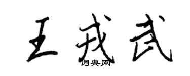 王正良王戎武行书个性签名怎么写