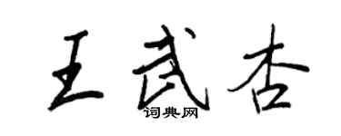 王正良王武杏行书个性签名怎么写