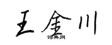 王正良王金川行书个性签名怎么写