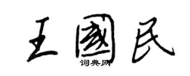 王正良王国民行书个性签名怎么写