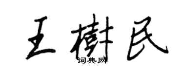 王正良王树民行书个性签名怎么写