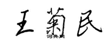 王正良王菊民行书个性签名怎么写