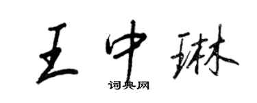 王正良王中琳行书个性签名怎么写