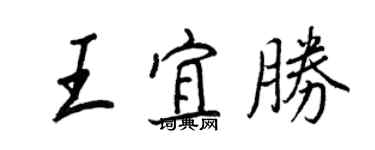 王正良王宜胜行书个性签名怎么写