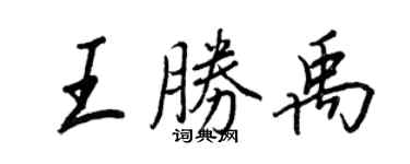 王正良王胜禹行书个性签名怎么写