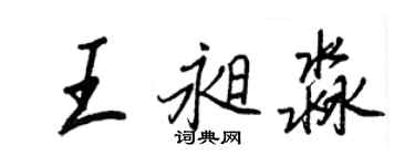 王正良王昶淼行书个性签名怎么写