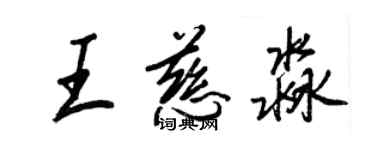王正良王慈淼行书个性签名怎么写