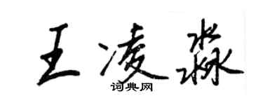 王正良王凌淼行书个性签名怎么写