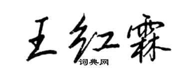 王正良王红霖行书个性签名怎么写