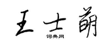 王正良王士萌行书个性签名怎么写