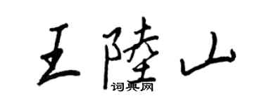 王正良王陆山行书个性签名怎么写