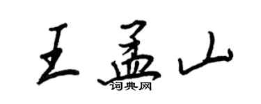 王正良王孟山行书个性签名怎么写