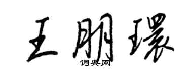 王正良王朋环行书个性签名怎么写