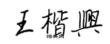 王正良王楷兴行书个性签名怎么写