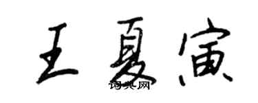 王正良王夏寅行书个性签名怎么写