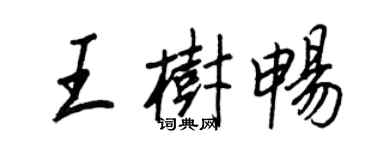 王正良王树畅行书个性签名怎么写