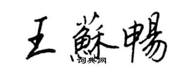 王正良王苏畅行书个性签名怎么写