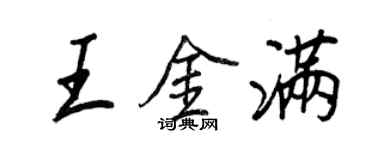 王正良王金满行书个性签名怎么写