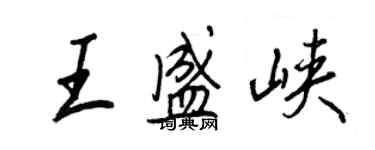 王正良王盛峡行书个性签名怎么写