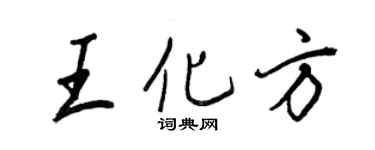 王正良王化方行书个性签名怎么写