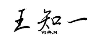 王正良王知一行书个性签名怎么写