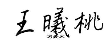 王正良王曦桃行书个性签名怎么写