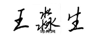 王正良王淼生行书个性签名怎么写
