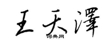 王正良王夭泽行书个性签名怎么写