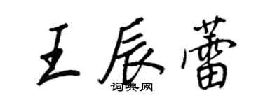 王正良王辰蕾行书个性签名怎么写