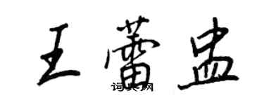 王正良王蕾盅行书个性签名怎么写