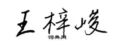 王正良王梓峻行书个性签名怎么写