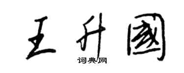 王正良王升国行书个性签名怎么写