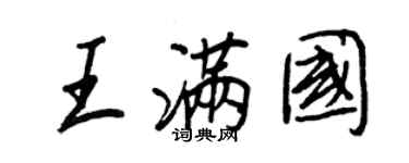 王正良王满国行书个性签名怎么写